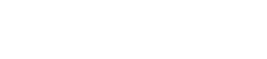 Anser Logo White